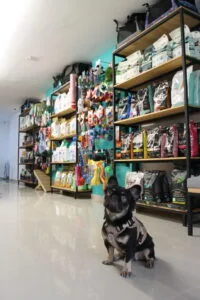 Petshop y farmacia