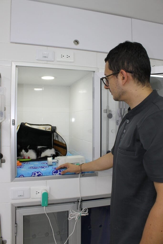 IMG_1661 - Veterinaria Suravet Itagüí