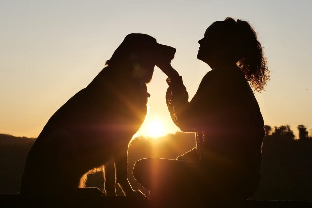 dog, animal, nature, pet, friends, girl, friendship, canine, mammal, love, care, friendship day, pet, pet, pet, pet, pet, friendship, friendship