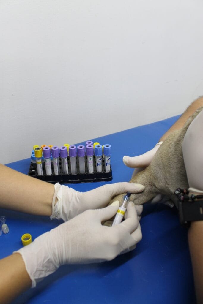 IMG_2489 - Veterinaria Suravet Itagüí