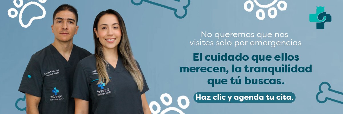 WEB - Veterinaria Suravet Itagüí